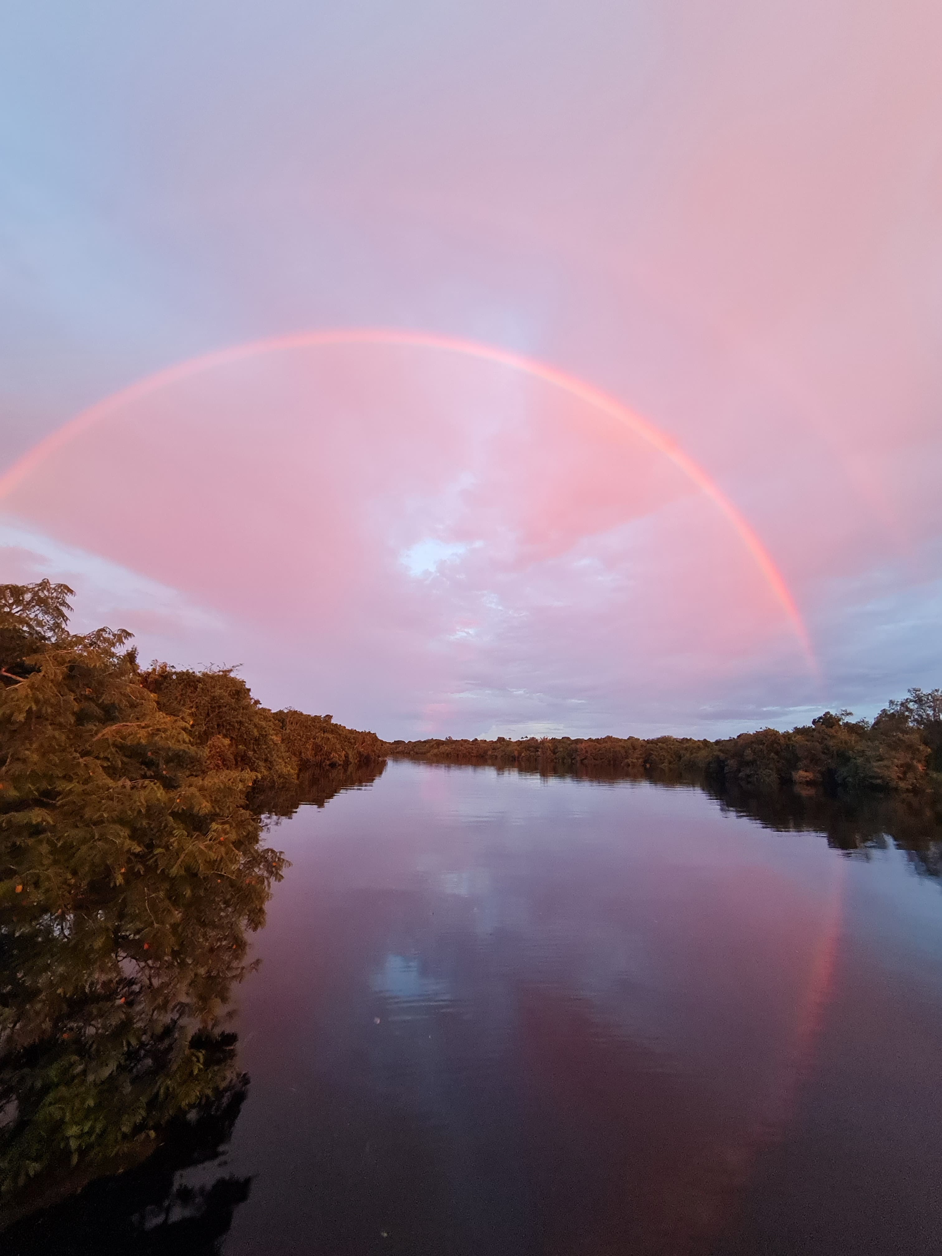 Imersão na Amazônia