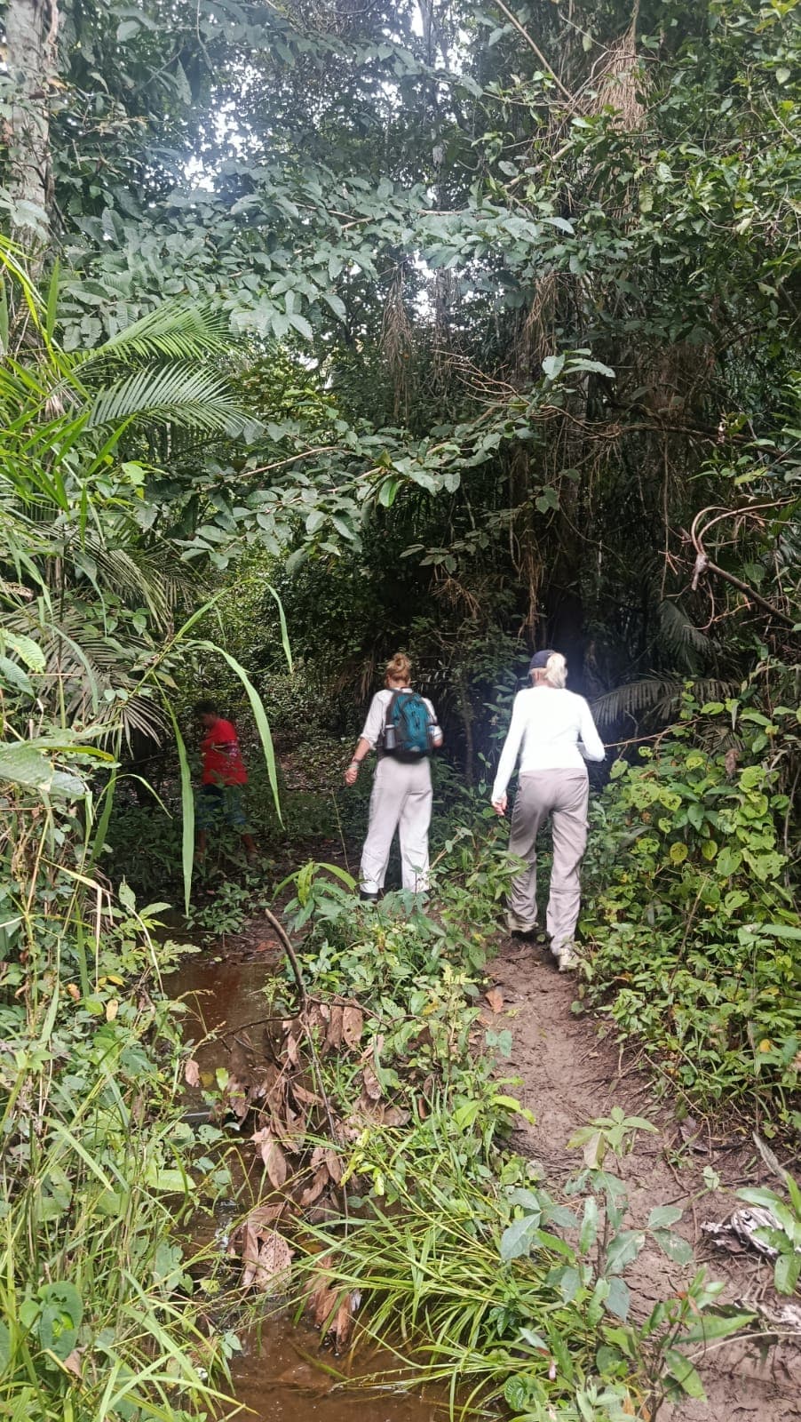 Sobrevivência na Selva